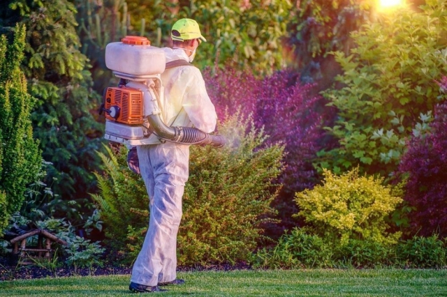 From carpets to furniture: Every room has its own unique cleaning needs